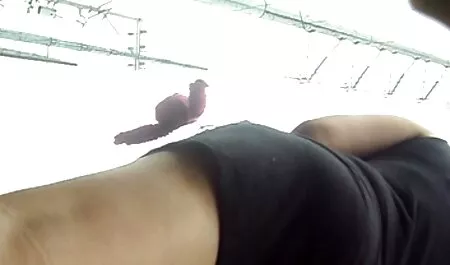 Chồng các cô gái phim sex tong hop nhat ban vào camera